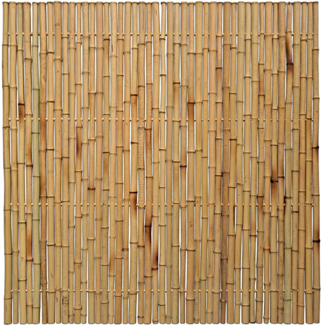 trendline bamboe 1